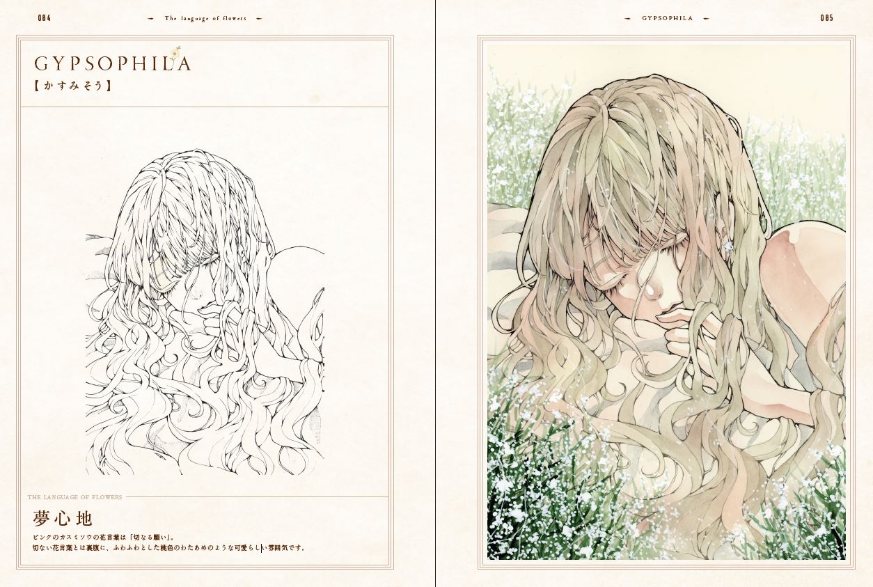 Toaruocha Illustration Book DOLLS