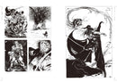 VAMPIRE HUNTER D COMPLETE ILLUSTRATION COLLECTION