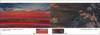 MAKOTO SHINKAI'S WORK "SPARROW'S DOOR LOCK" ART COLLECTION