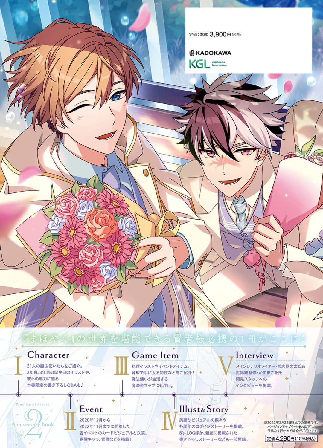 WIZARD'S PROMISE ANNIVERSARY BOOK VOL.2