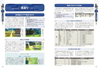 DRAGON COUNTRY RUNE FACTORY OFFICIAL PERFECT GUIDE