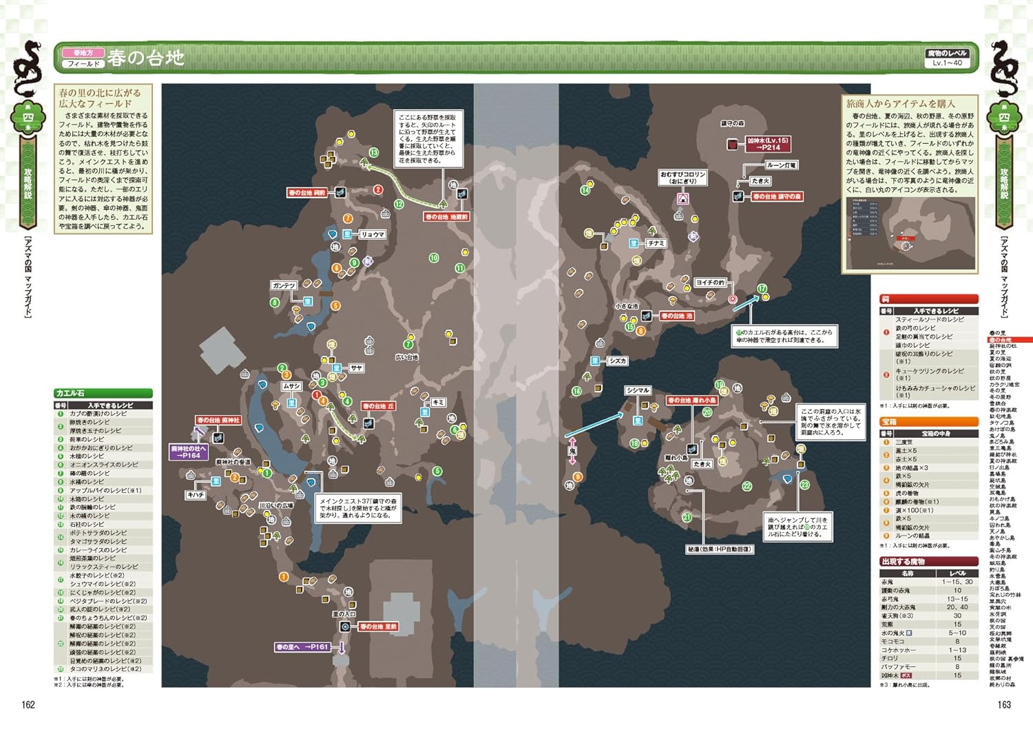 DRAGON COUNTRY RUNE FACTORY OFFICIAL PERFECT GUIDE