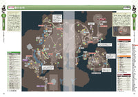 DRAGON COUNTRY RUNE FACTORY OFFICIAL PERFECT GUIDE