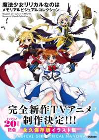 MAGICAL GIRL LYRICAL NANOHA MEMORIAL VISUAL COLLECTION
