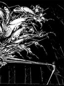 THE ORIGIN OF COMETS: HARUKO ICHIKAWA ILLUSTRATION BOOK 2