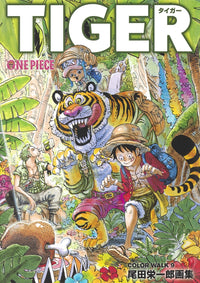 ONE PIECE COLOR WALK 9 - Eiichiro Oda Illustration Collection TIGER Deluxe Edition Comics