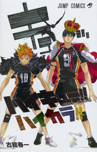 Haikyu!! Official Color Illustration Collection Haikara!! Jump Comics