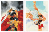 Mutsumi Inomata 40th Anniversary Art Book Sanctuary Illustration