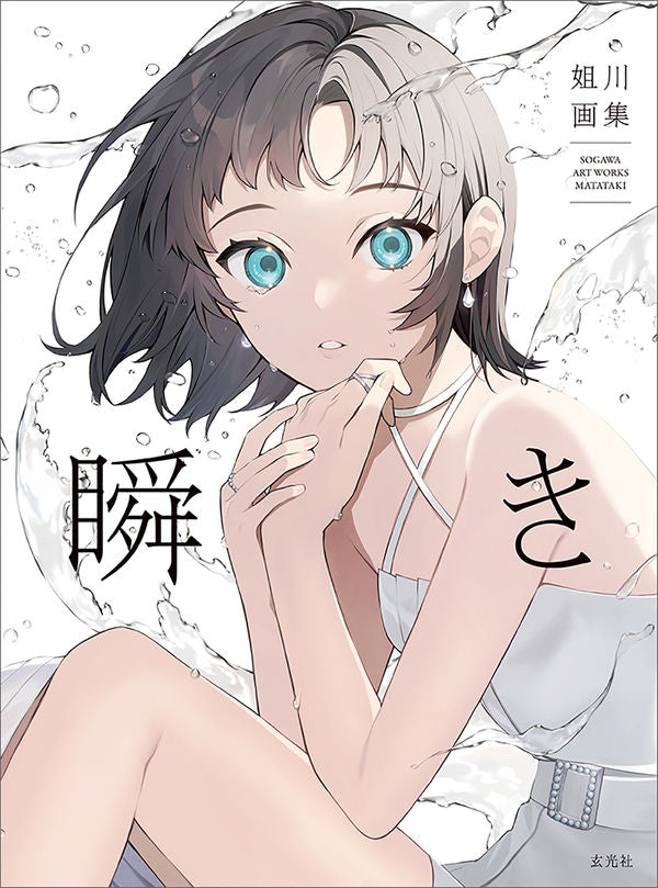 Anegawa Art Book: Blink