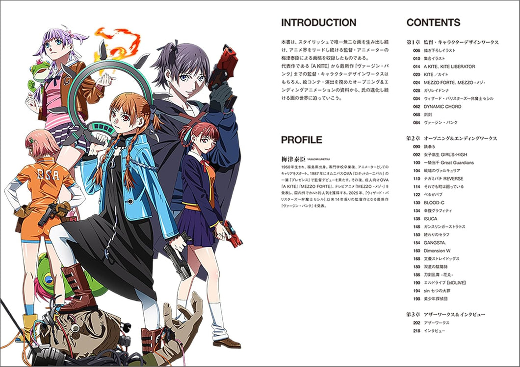 UNFINISHED UMETSU YASUOMI ANIMATION WORKS