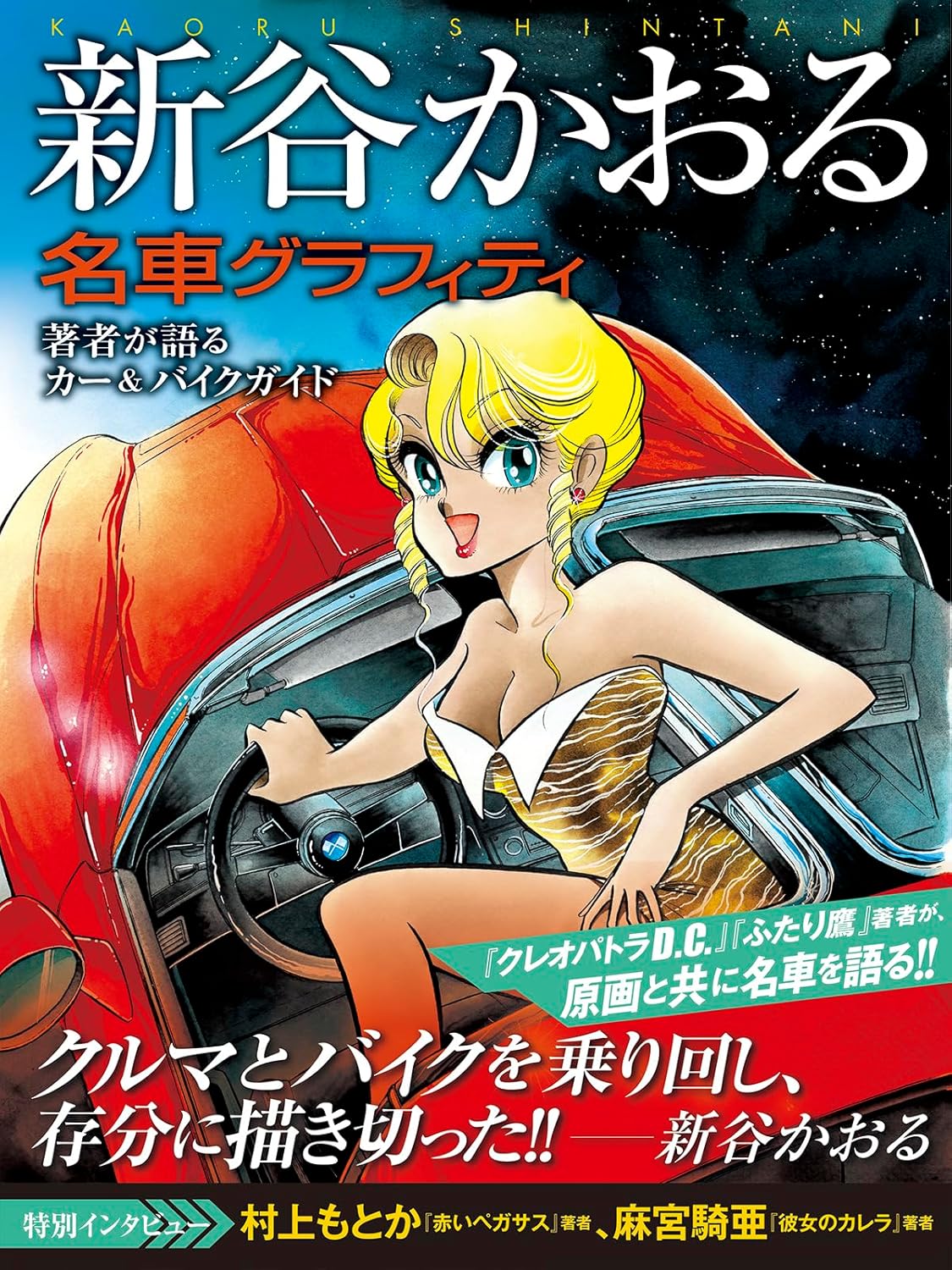 KAORU SHINTANI FAMOUS CAR GRAFFITI