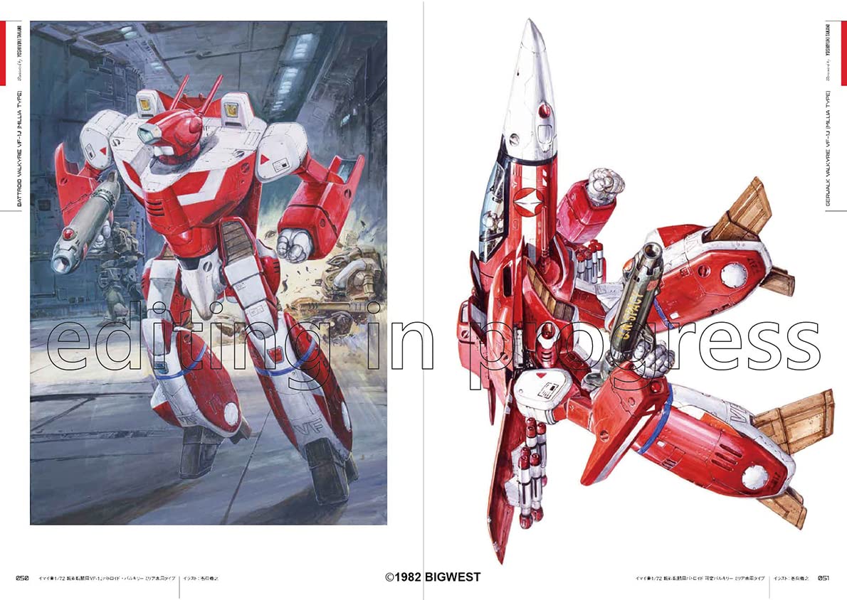 "SUPER DIMENSION FORTRESS MACROSS" PACKAGE ART COLLECTION
