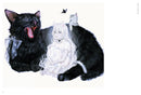 A DAY COLORED BY LIGHT SHIRONE'S WORKS ILLUSTRATION MAKING & VISUAL BOOK