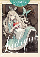 LUDIQUE