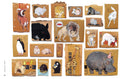 LIFE GOES ON KUROYAMA KATHY LAM COLLECTION