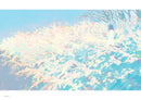 TABI WORKS COLLECTION -SOUVENIR-